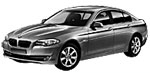 BMW F10 C1980 Fault Code